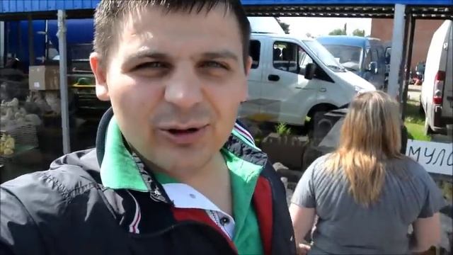 КАКИХ ВЫБРАТЬ УТОК смотреть онлайн