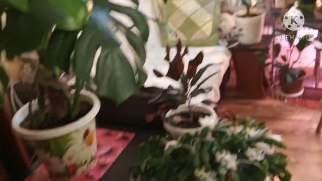 Зимняя перестановка смотреть онлайн