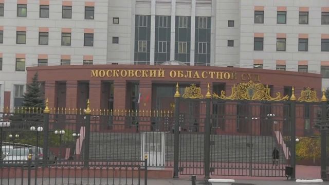 Московский областной суд, дело Гаянэ Амраховой 25 11 2013 смотреть онлайн