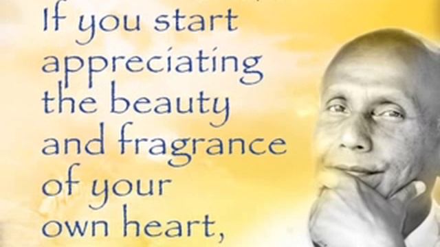 Безмолвие медитации, выпуск 4. Сердце-лотос смотреть онлайн