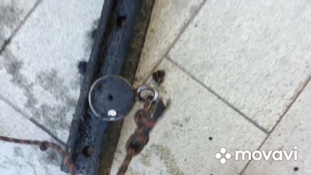 Новый Поисковый магнит, нашли Метальное место смотреть онлайн
