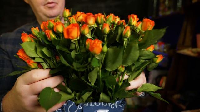 Кустовая роза | Плантация Karen Roses, Кения смотреть онлайн