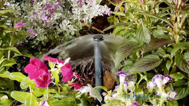 PCB-20 Hunter PC Umbrella Bubbler