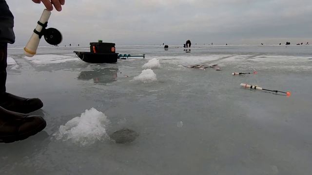 Ловля корюшки на южном берегу Финского Залива/Ручьи! смотреть онлайн