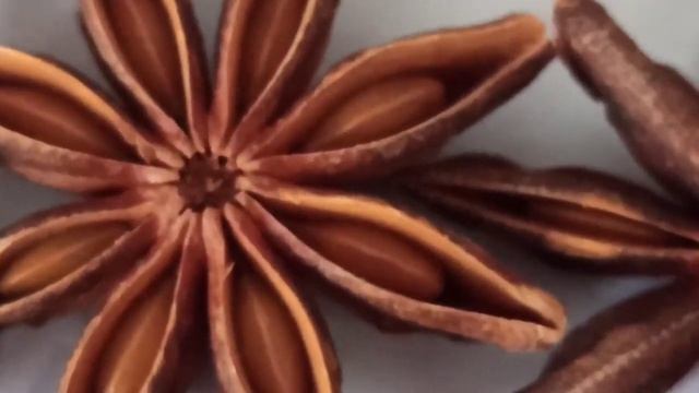 Бадьян звездчатый целый Grains and Spices. смотреть онлайн