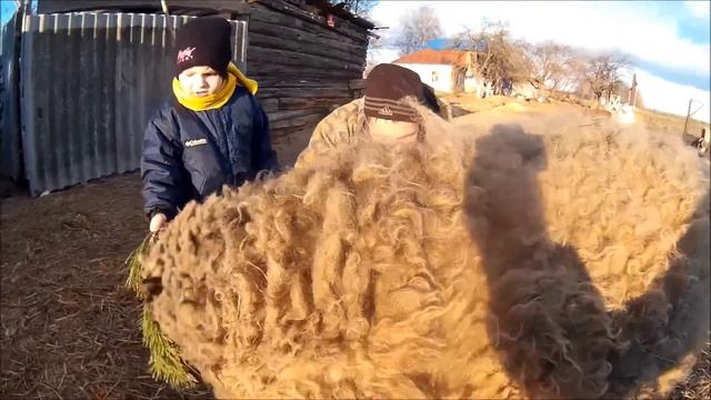 Детское видео.Барашек Шон. Дети играют с барашиком! Shaun the sheep. смотреть онлайн