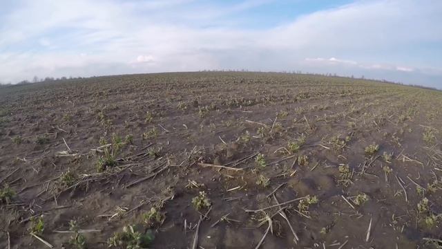 ПРОДАЕМ СЕЯЛКУ MONOSEM NС | Состояние зимующего гороха смотреть онлайн