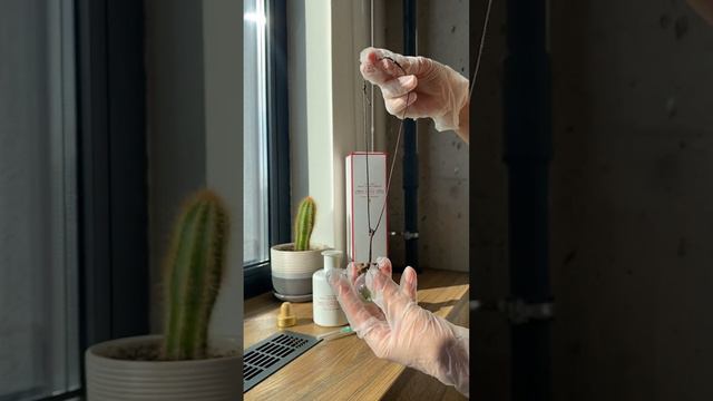 Мини диффузоры Zara Home в автомобиль! смотреть онлайн