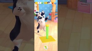 игра про котика название этой игры my cat?
