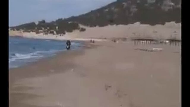 Honda Varadero on beach смотреть онлайн