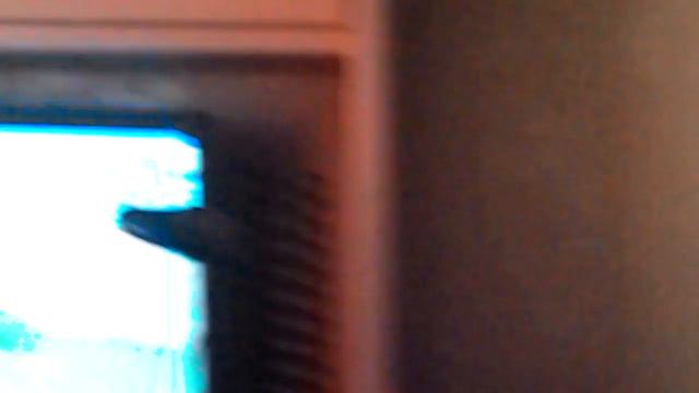 Покемон пороро играет в танки онлайн смотреть онлайн