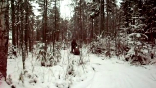 мотобуксировщик ладога 9 сил смотреть онлайн