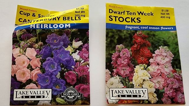 Какие цветы буду выращивать из семян в 2023 году