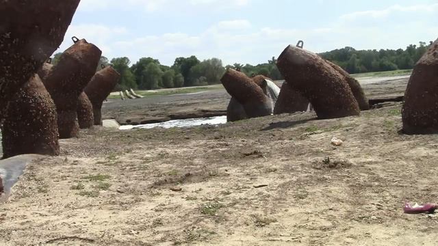 Новости с ГАВНЮШКИ. Вода падает, посевы всходят. Запорожье 24.07.23 смотреть онлайн