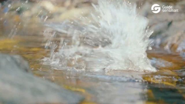 Introducing the DR30 Digital Day & Night Vision Scope смотреть онлайн