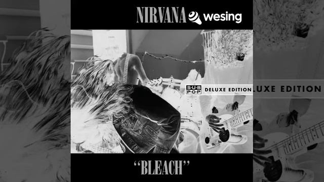 Love Buzz (Live At Pine Street смотреть онлайн