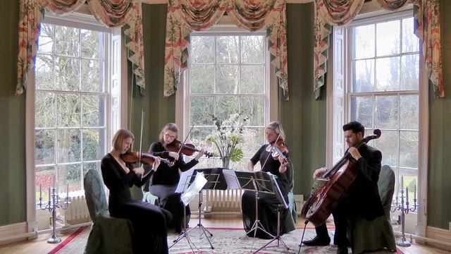 Sweet Child O' Mine (Guns N' Roses) Wedding String Quartet смотреть онлайн