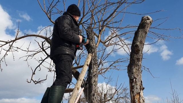 Сабельная пила с Алиэкспресс Wosai.