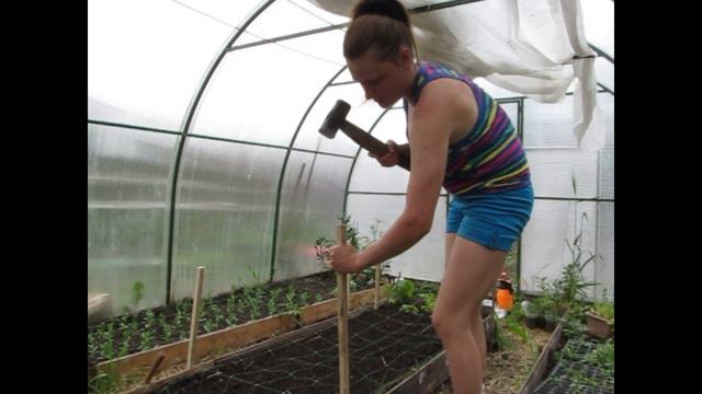 Высадка эустомы на сетку/ видео 2017 года смотреть онлайн