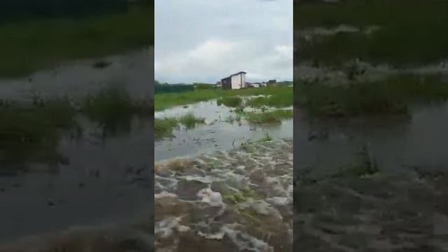 Клинский район, д. Головково ПОТОП смотреть онлайн