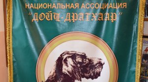 анонс 30 лет дд 50  сек