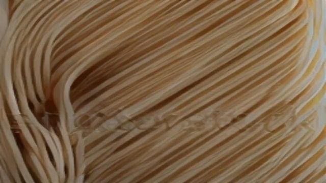 [AI] elon musk fighting spaghetti in the bus смотреть онлайн