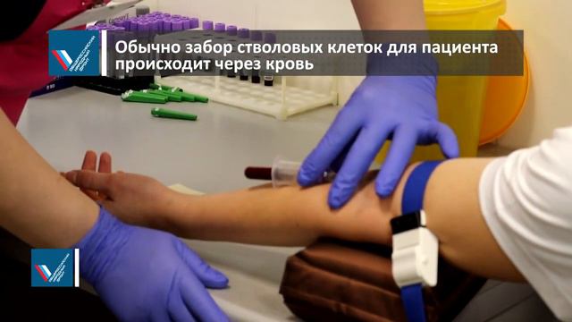 Активисты ОНФ Кировской области внесли свой вклад в борьбу с раком крови смотреть онлайн