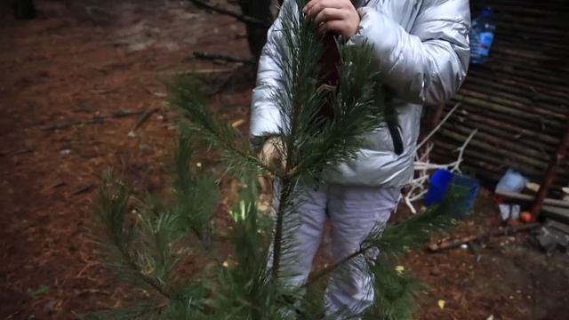 ГИГАНТСКИЙ ДОМ НА ДЕРЕВЕ 17 ч - ДОМ В ЛЕСУ смотреть онлайн
