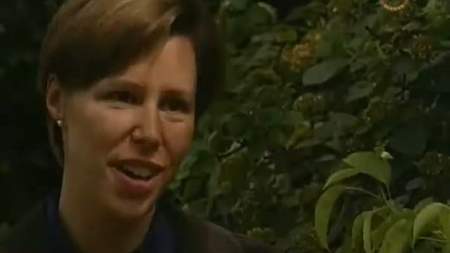Тайна зимнего сада. Секреты Ренессанса (2/3) смотреть онлайн