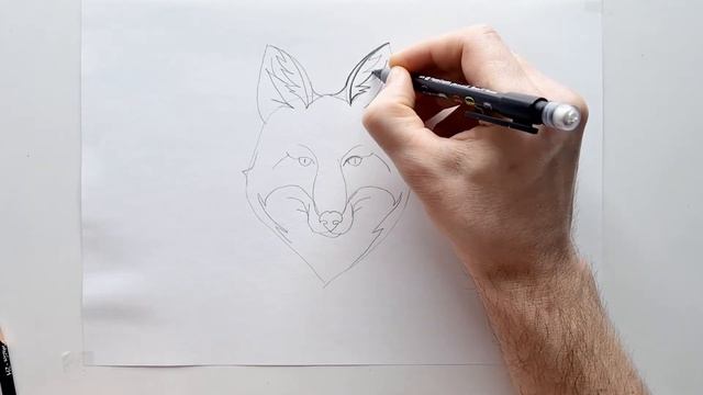 Master Drawing fox's face with This Easy Pencil Tutorial for Kids - How to draw a fox's face смотреть онлайн