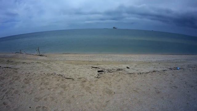 Копаю и отдыхаю на диком пляже Азовского моря. смотреть онлайн