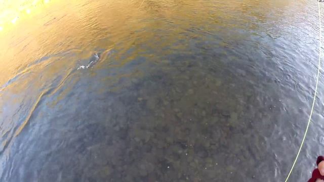 Рыбалка нахлыстом, река Песчаная смотреть онлайн