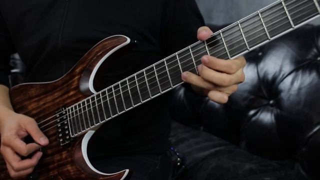 Ibanez RGA Iron Label - RGAIX6U/RGAIX7U смотреть онлайн