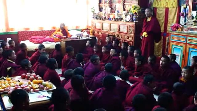 Tenga Rinpoche examining monks смотреть онлайн