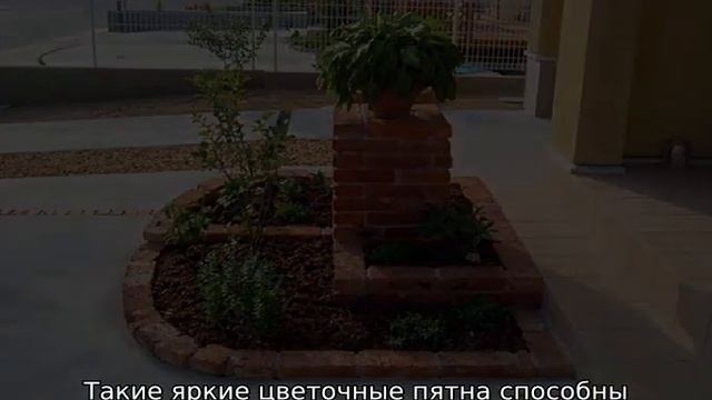 Красивые клумбы смотреть онлайн