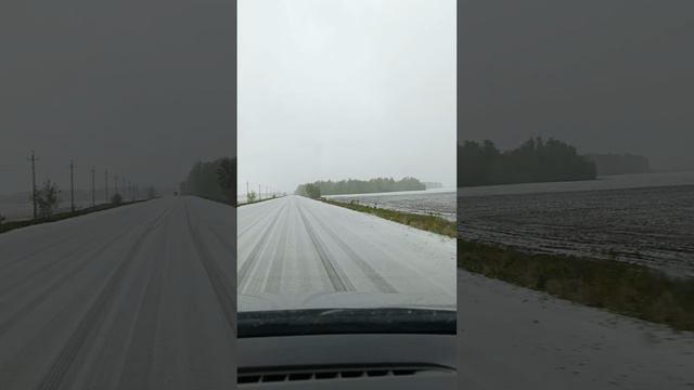 май,забыл,что он май. 13 мая 2024г