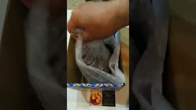 STELLOX 0035510SX. насос гидроусилителя руля! На сайте феникс-авто.рф смотреть онлайн