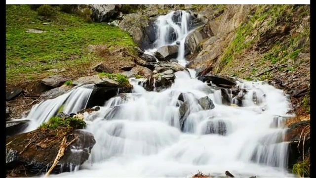 Видеопрезентация «День заповедников и национальных парков России». смотреть онлайн