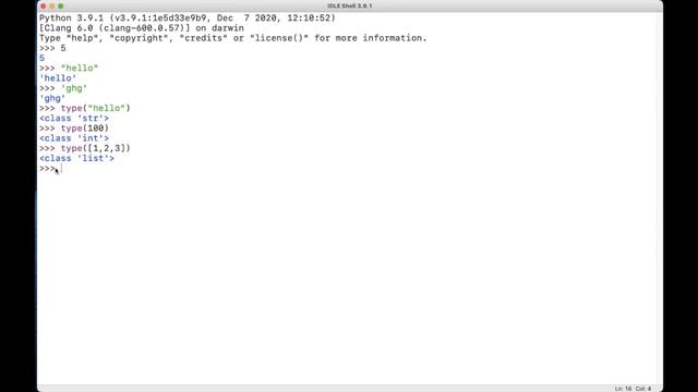 #9 - How to identify data types in Python? | Python Tutorial in Hindi | The Learning Point смотреть онлайн