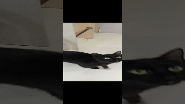 Вот так мы проводим день ???????? смотреть онлайн