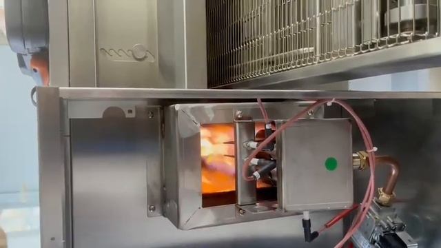 Zanolli Synthesis - Flame Error смотреть онлайн