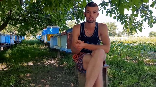 ЦІНА  НА  МЕД  2023  . Чому я продав так дешево мед в роздріб і заробив більше ніж за опт ? Україна