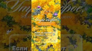 #воскресенье #доброеутро