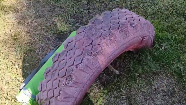 Помогите найти ДОБРЫЕ руки! Подобрали брошенку 😺 смотреть онлайн