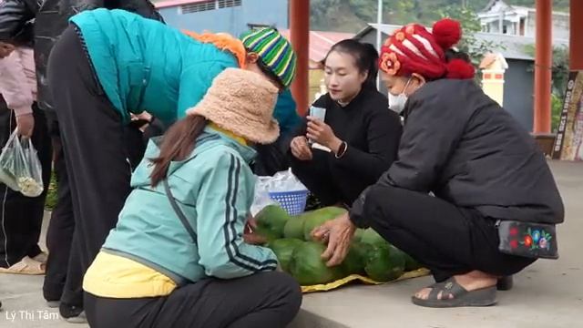 Harvesting papaya & cabbage goes to market sell - Cooking - Animal care | Ly Thi Tam смотреть онлайн