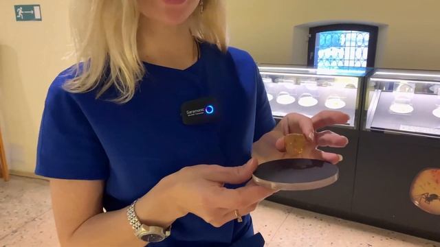 Мини-экскурсия по Калининградскому музею янтаря смотреть онлайн