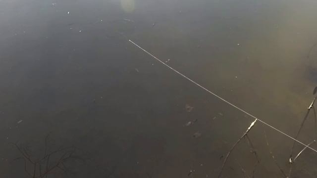 Японские воблеры больше не нужны! Шедевры отечественного воблеростроения! Эксклюзив!