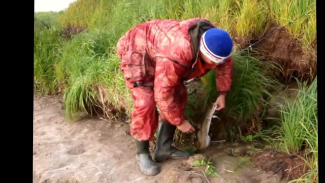 Ловля язя в ноябре! смотреть онлайн