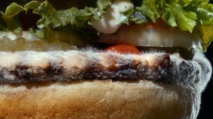 «Moldy Whopper» by INGO, DAVID Miami & Publicis Bucharest for Burger King | The One Show 2020