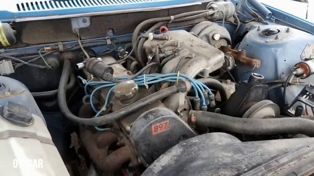Amazing..! 1981 Volvo 242 the legendary 240 смотреть онлайн